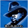 BIG4EverX